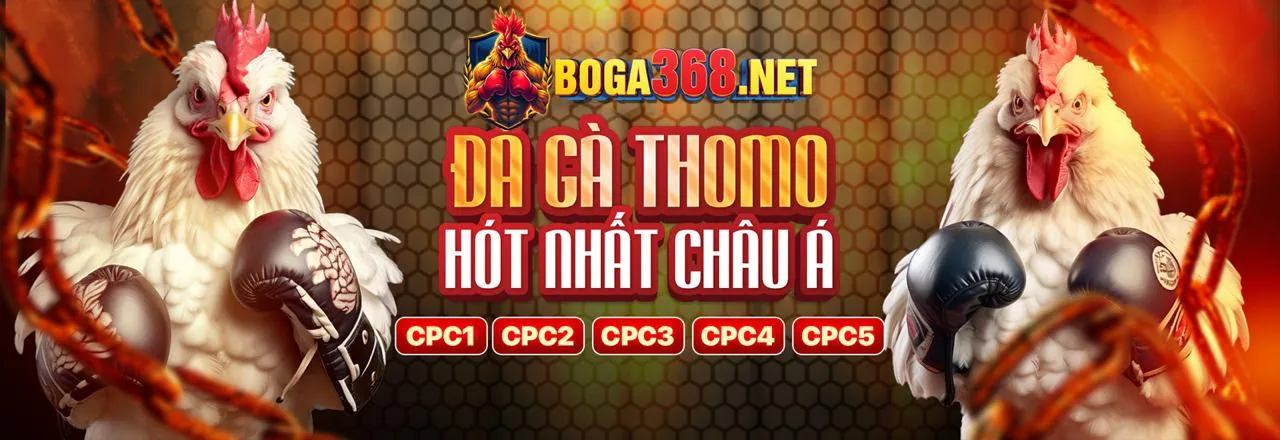 Blog chính của 39go99 Info 2026 với các bài viết về cá cược trực tuyến và giải trí đỉnh cao.